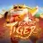 Fortune Tiger icon